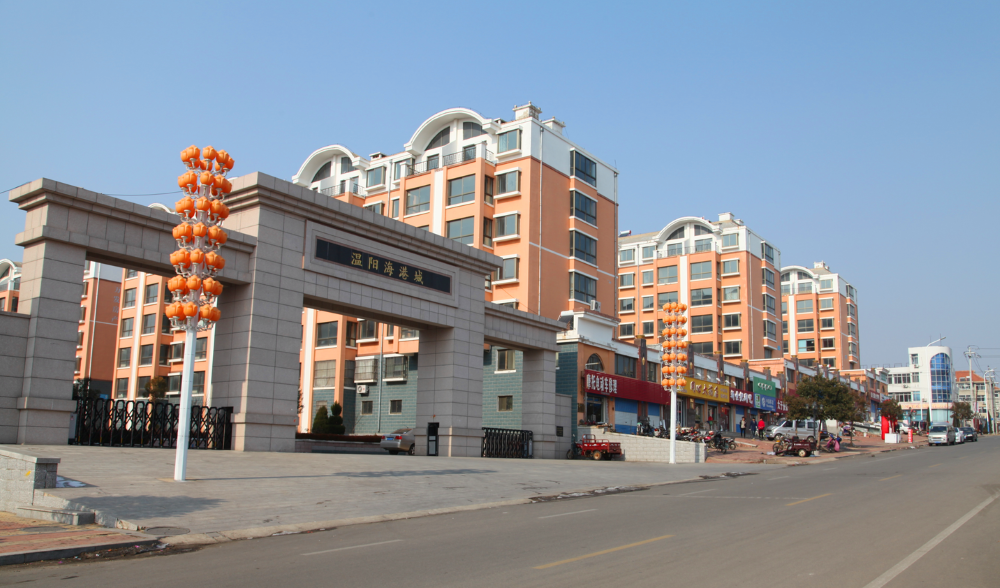 中国尊龙集团