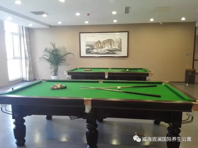 中国尊龙集团