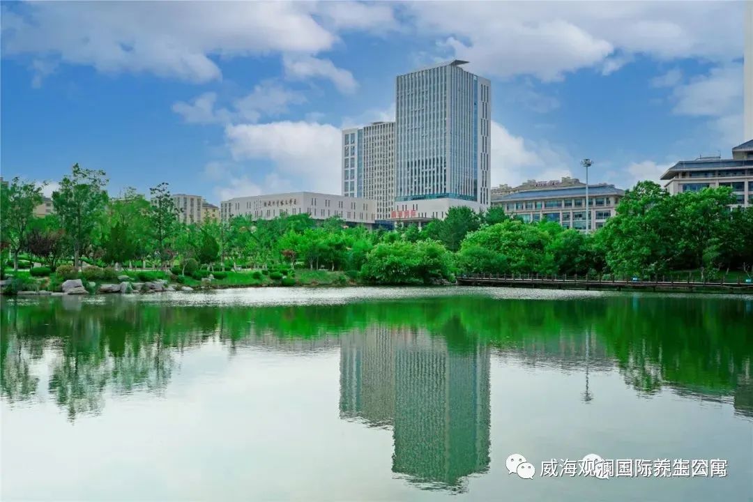中国尊龙集团